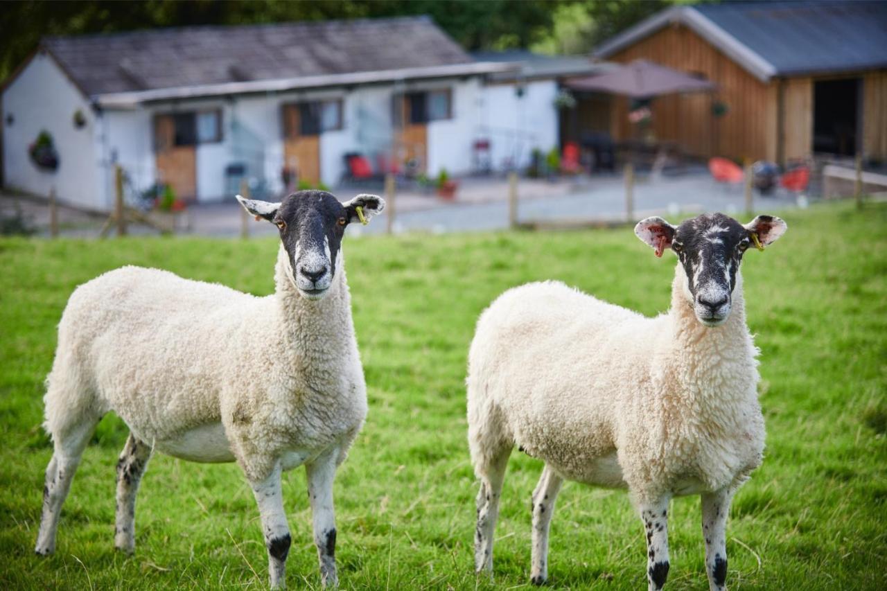 Villa Newlands Farm Stables Kendal Esterno foto