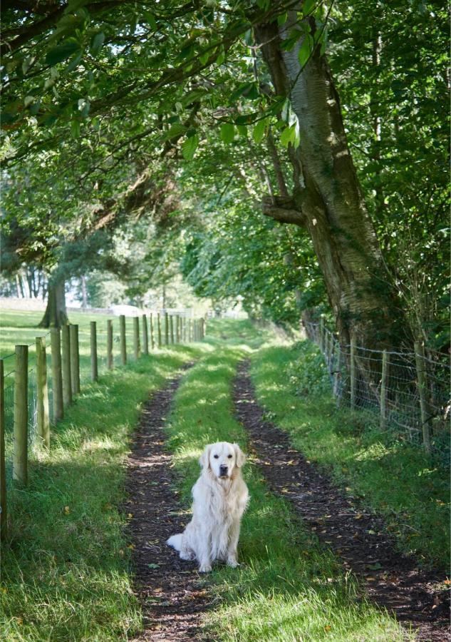 Villa Newlands Farm Stables Kendal Esterno foto